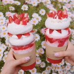 FRANZE & EVANS LONDON - 