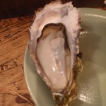 かき小屋 祐天寺 - 蒸し牡蠣アップ！プリプリのふっくら～