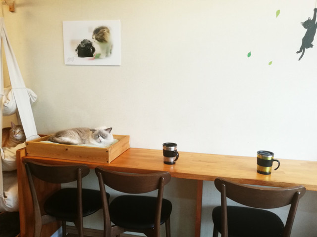 Hinata Bokko photo 2