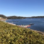 パイナップル - ワカサギ釣りの最盛期❗️