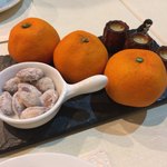 ウィルビウス - 