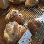 ダーシェンカ - 