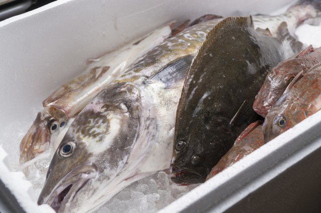 人情酒場 晩屋清次郎 &ndash; 鶴岡の居酒屋｜美味しい和食と豊富なお酒