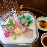 Hinanoryouteijigozen - 造り  天然鯛 縞鯵 平貝 鰆 河豚葱巻き あしらい