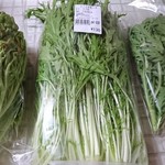 道の駅 鴨川オーシャンパーク - 立派な葉物野菜たち