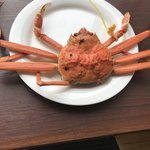 越前がにミュージアムショップ - 料理写真: