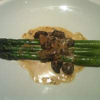 Benoit Alain Ducasse - 