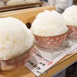 ホルモンと日本酒 ホルモン屋かねちゃん - マンガ盛り