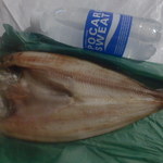 石村商店 - 大きさ比較２