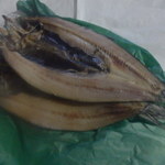 石村商店 - ニシン開き