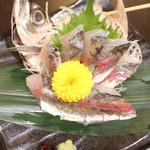 上野 肴や～sakanaya～ - 