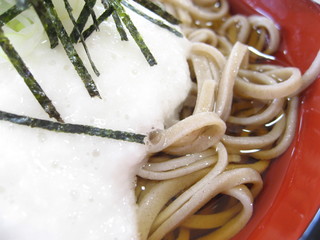 Teuchi Soba - 