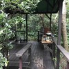 ジャングルブックカフェ