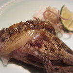 銀座 水野 - 虎魚アップ