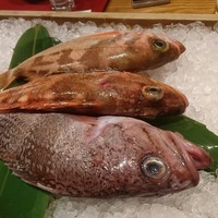 泉岳寺門前 紋屋 - 