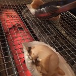 神戸元町 築地和光 - 