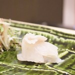 鮨こゝろ - 北海道のマツカワ鰈