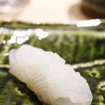 鮨こゝろ - calamari アオリイカ