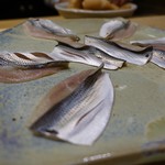 初音鮨 - 10.シンコ