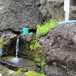 Michi No Eki Narusawa Keishokudou - 富士山麓から湧き出る水飲み場