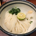 大衆うどん酒場 ウルとら - ウルとら醤油うどん529円（税込）