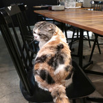 PACE - あたし・・実は〜 ♡