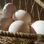 たまご村 - 料理写真:ゆで卵