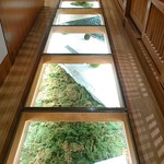 GOCHISO-DINING 雅じゃぽ - 廊下の下がガラス張りで日本庭園風。オサレ～(*^^*)