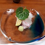 魚作 - たいとヒラメの舞い踊り