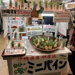 Gifuto Shoppazu - 沖縄のお土産屋さんは結構遅くまでやってるよね♪
                        沖縄の特産品を色々置いてるお店に入ってみる☆彡
                        海ぶどうやパイナップル、じーまーみ豆腐、紅芋などどれも美味しそう♪ そしてミニパインとか！？可愛い！