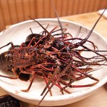 緒方 - 伊勢海老