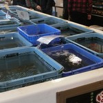 姫路まえどれ市場 - 生簀