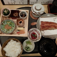宮川本廛 赤坂宮川 - 鰻蒲焼き御膳