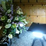 水たき 長野 - 水たき 長野・店内中庭