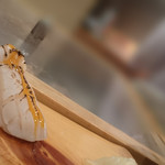 鮨処 竜敏 - ホタテ