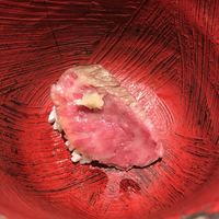 鳥茂 - 