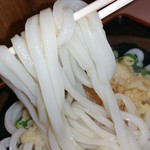 手打十段 うどんバカ一代 - 素晴らしい麺