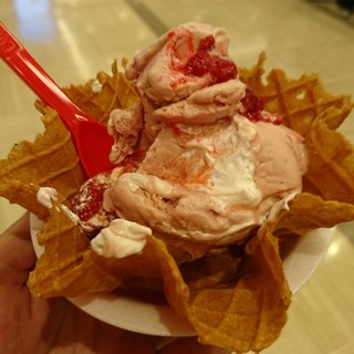 コールドストーンクリーマリー_0