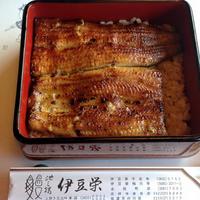 鰻割烹 伊豆栄 本店 - 鰻重の竹