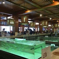稚加榮 本店 - 本館１階中央の生簀を囲んだカウンター席