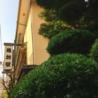 稚加榮 本店 - 
