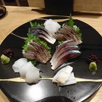美食美酒 囲 - アオリイカ、しめさば、さごち