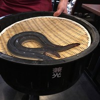 入谷鬼子母神門前のだや - 