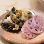 うを徳 - 2018.1 愛媛蒸し鮑 徳島赤蓮根