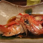 魚菜 由良 - 