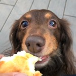 スターバックスコーヒー - 真剣な口