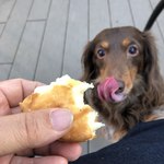 スターバックスコーヒー - 真剣なベロ