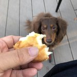 スターバックスコーヒー - 真剣なまなざし