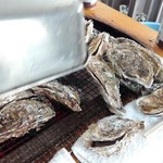 石巻かき小屋 - どんどんたべる～