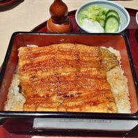 野田岩 日本橋高島屋特別食堂 - うな重